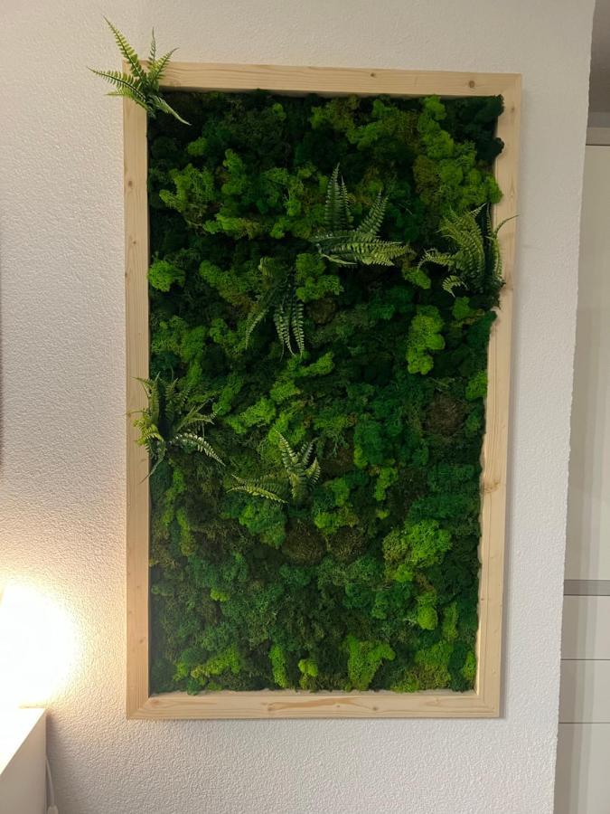 Appartement Bergwaerts Rickenbach  Eksteriør billede