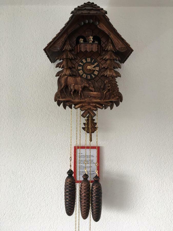 Appartement Bergwaerts Rickenbach  Eksteriør billede